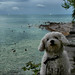 Constance White Photo 14