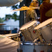Ed Barnett Photo 11