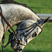 Neil Howard Photo 15