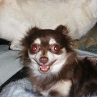 Diana Larson Photo 43