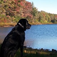 Debra Hutchins Photo 24