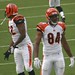 Kyle Carson Photo 41