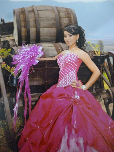 Marisol Garibay Photo 7