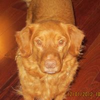 Debbie Provenzano Photo 11