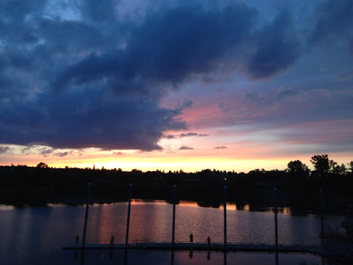 Gary Robins Photo 6