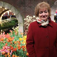 Debra Kline Photo 19