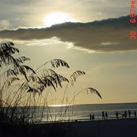Joyce Crowe Photo 13