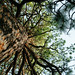 Jennifer Wise Photo 36