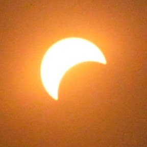 Adam Gardner Photo 27