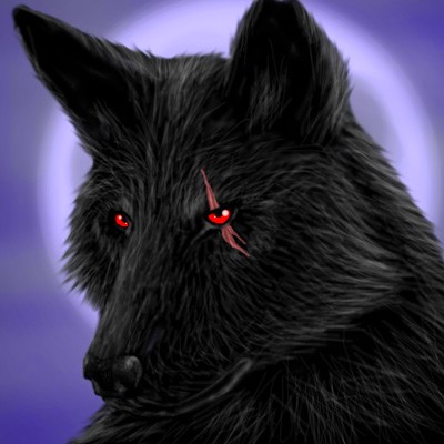 Anthony Wolf Photo 11