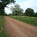 John Nickel Photo 23