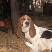 Lisa Mcclintock Photo 7