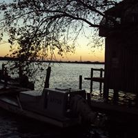 Judith Lawrence Photo 36