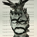 David Noyes Photo 39