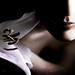 Merry Lawrence Photo 7