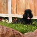 Addie Minor Photo 8