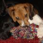 Shelly Collier Photo 23