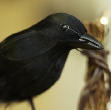 Edgar Crow Photo 13