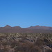 Joshua Laughlin Photo 30