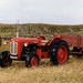 Lewis Massey Photo 18