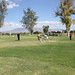 Michelle Jeffries Photo 21
