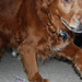 Terry Carder Photo 9