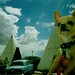 Robert Holbrook Photo 12