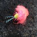 Jay Nicholas Photo 16
