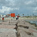 Judy Evans Photo 6