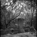 William Stoney Photo 8