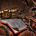 Lincoln Jones Photo 21