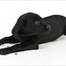 Sherry Shipley Photo 20