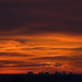 Dawn Eckert Photo 25