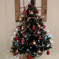 Judy Higginbotham Photo 8