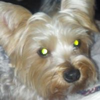 Darlene Buckner Photo 11