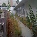 Stephen Brotman Photo 9