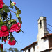 Rose Pickering Photo 9