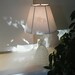 Judy Frost Photo 13