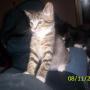 Shelley Wagner Photo 26