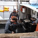 Dave Jewell Photo 12