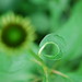 Timothy Miller Photo 10