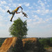 Danny Pace Photo 13