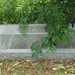 Frances Palmer Photo 12