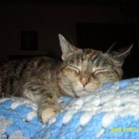 Deborah Herrmann Photo 10