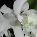 Marie Skelly Photo 18