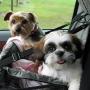 Carol Agnew Photo 30