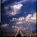 Andrea Fortune Photo 23