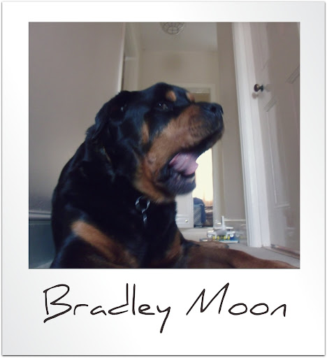 Bradley Moon Photo 27