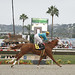 Eddie Potts Photo 39