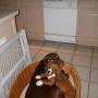 Deborah Warner Photo 26